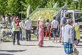 Pardiralli 2015