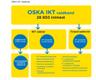 OSKA IKT valdkonna raporti infograafika