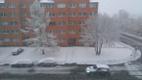 Снег на Сааремаа