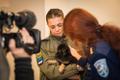 Эго и Элек будут трудиться в Идаской и Лыунаской префектурах.