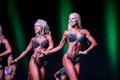 Kulturismi ja fitnessi Eesti karikavõistlused