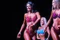Kulturismi ja fitnessi Eesti karikavõistlused