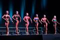 Kulturismi ja fitnessi Eesti karikavõistlused