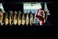 Kulturismi ja fitnessi Eesti karikavõistlused