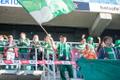 Jalgpalli Meistrite liiga eelring: FC Flora - Beer Sheva Hapoel
