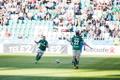 Jalgpalli Meistrite liiga eelring: FC Flora - Beer Sheva Hapoel