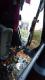 Bussiõnnetus Valgevenes