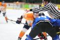 Jäähoki MM-turniir Tallinnas: Eesti - Holland