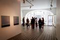 Margus Tõnnovi maitsete galerii Draakoni galeriis