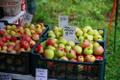 Eesti leiva päev
