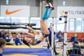 Rahvusvaheline mitmevõistlus