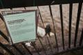 18.–21. augustil toimus Tartus linna- ja kunstifestival Uit.