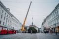 Рождественскую ель в Тарту доставили из Вырумаа.
