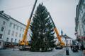 Рождественскую ель в Тарту доставили из Вырумаа.
