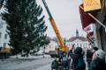 Рождественскую ель в Тарту доставили из Вырумаа.