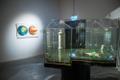 Raul Rajangu näitus „iCANT BREATHE. BREATHING OURSELVES TO DEATH. DESPIRATION SHOW IN 3 MIXES“ Vaal galeriis