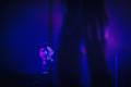 Bonobo