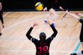 Võrkpalli naiste meistriliiga poolfinaal: TalTech/Tradehouse – Barrus Võru VK