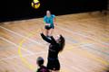 Võrkpalli naiste meistriliiga poolfinaal: TalTech/Tradehouse – Barrus Võru VK