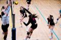 Võrkpalli naiste meistriliiga poolfinaal: TalTech/Tradehouse – Barrus Võru VK
