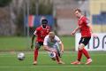 Jalgpalli Premium liiga: JK Narva Trans – Tallinna FC Flora