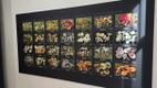 Vello Liiv's new wild mushroom photo exhibition at Viidumäe Nature Center in Saaremaa. October 2026.
