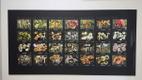 Vello Liiv's new wild mushroom photo exhibition at Viidumäe Nature Center in Saaremaa. October 2026.