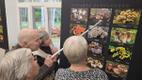 Vello Liiv's new wild mushroom photo exhibition at Viidumäe Nature Center in Saaremaa. October 2026.