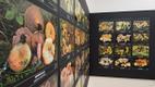Vello Liiv's new wild mushroom photo exhibition at Viidumäe Nature Center in Saaremaa. October 2026.