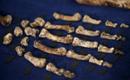 Homo naledi käsi.