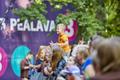 Pühajärve Jaanituli