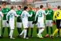 FC Flora - Tallinna Levadia