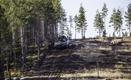 Soomuskool viis läbi esimesed jalaväe lahingumasinate CV9035 lahinglaskmised.