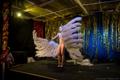 Burleskifestival Horvaatias