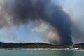 Лесные пожары во Франции в июле 2017 года.