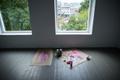 EKKM