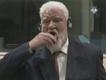 Bosnia horvaadist kunagine väepealik Slobodan Praljak 29. novembril haagi kohtus.