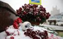 В память о жертвах трагического ДТП в Москве.