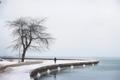 Chicago.