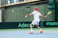 Davis Cup, Eesti - Tuneesia