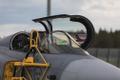 Rootsi Gripen hävitajad maandusid Ämaris.