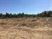 Viljandimaal Suure-Jaanis avati Nooruse tammik