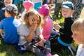 Tamsalus avati „Eesti 100 tamme“ esindustammik