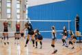 Naiste võrkpalliliiga Audentes - TLÜ