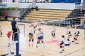 Võrkpalli naiste meistriliiga: TalTech/Tradehouse - Kohila VK