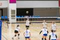 Võrkpalli naiste meistriliiga: TalTech/Tradehouse - Kohila VK