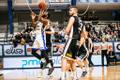 BC Kalev/Cramo - Tartu Ülikool