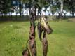 Viljapuu-bakterpõletikuga kahjustatud puu