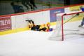 Jäähoki meistriliiga: HC Viking - Tartu Välk 494