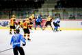 Jäähoki meistriliiga: HC Viking - Tartu Välk 494